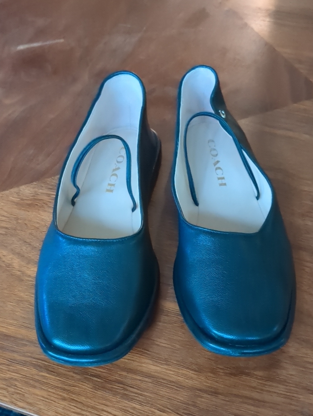 Coach Emilia Mary Jane Leather Ballet  Flats